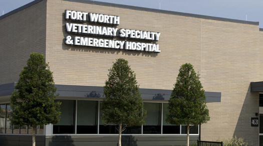 Fort Worth Animal Emergency Hospital