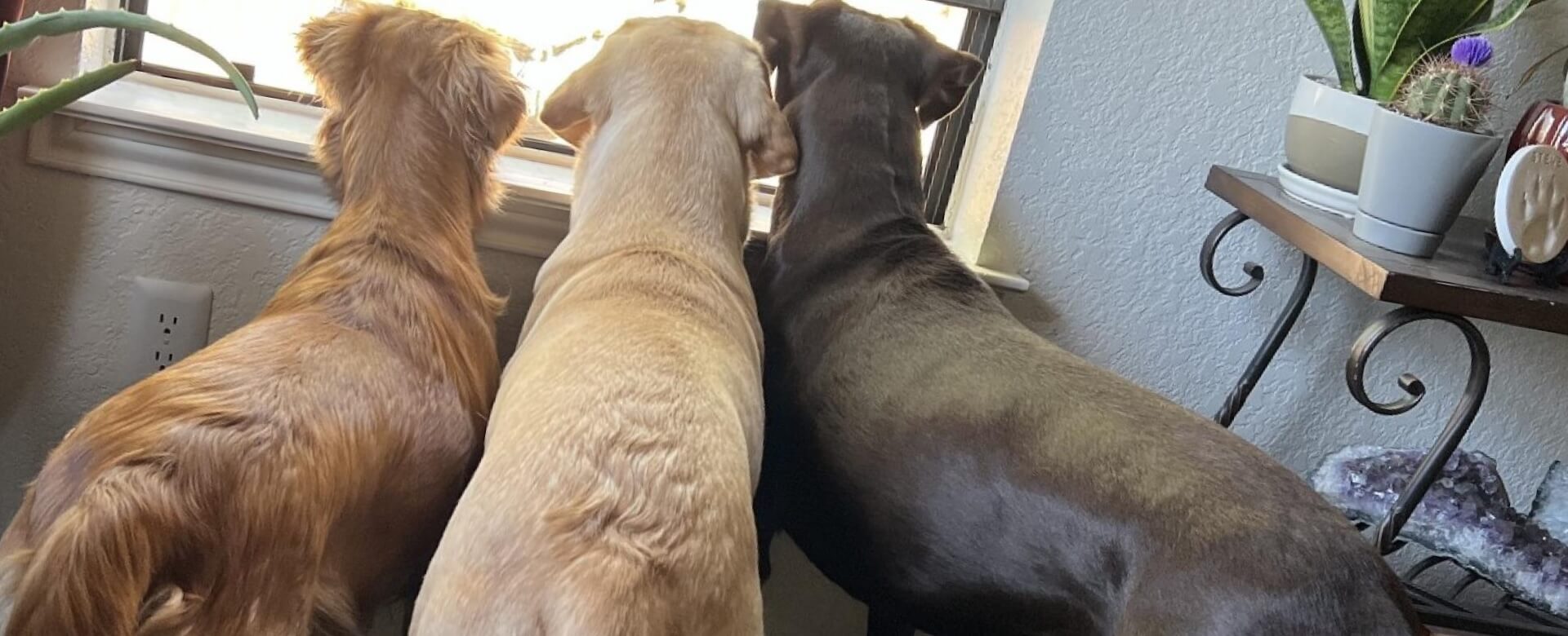 The trinity at the window