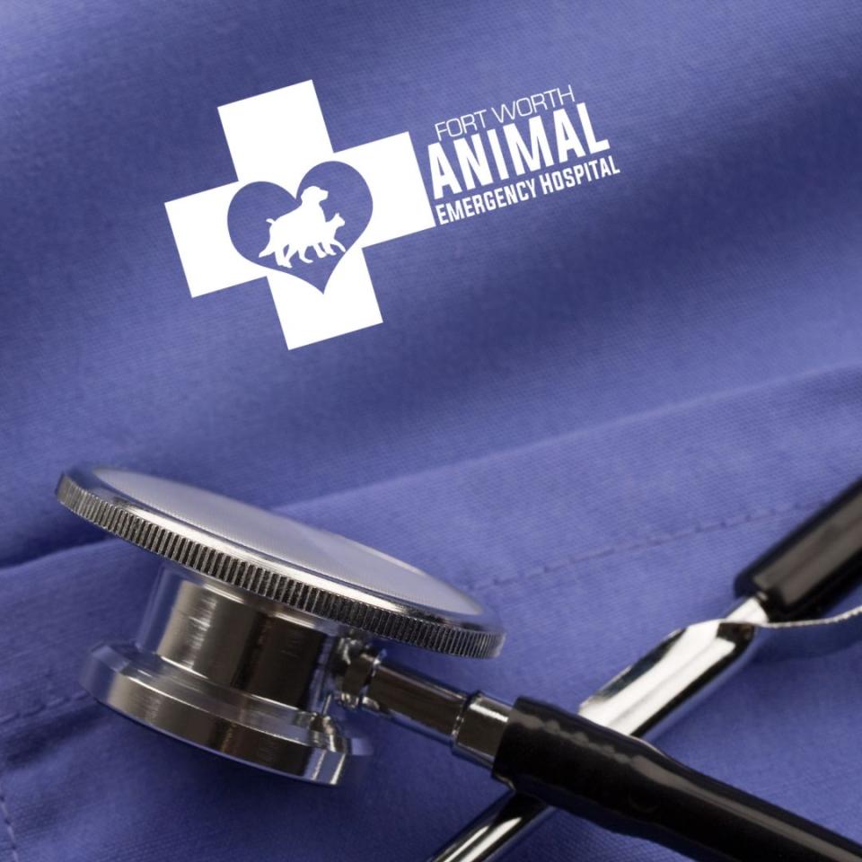 Veterinary Technician