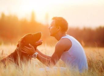 Understanding Pet Euthanasia: What to Expect and How to be Prepared